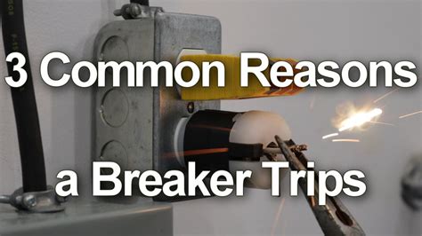 electrical box tripping|breaker tripping for no reason.